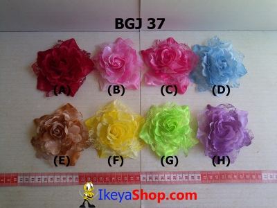 BGJ 37  large2